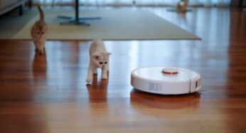 Robot Vacuum Cleaner: A Basic Guide