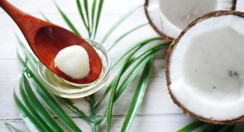 Best Vegan and Cruelty-Free Skincare: What to Try in 2025